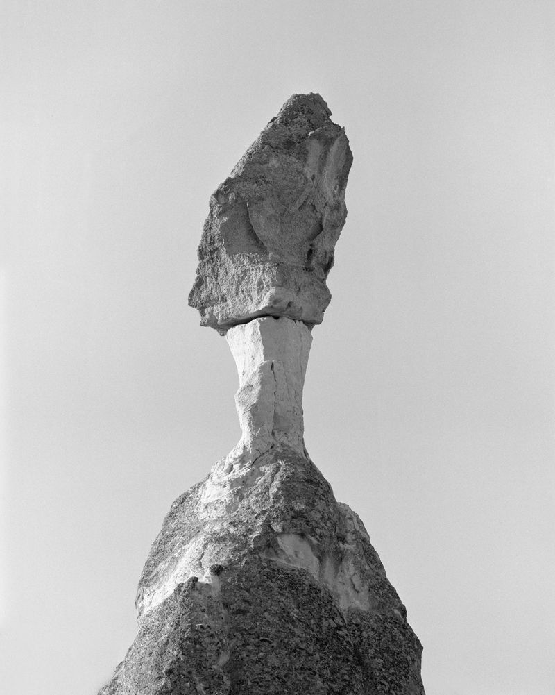 © Balazs Turos - Image from the The Nature of Things photography project