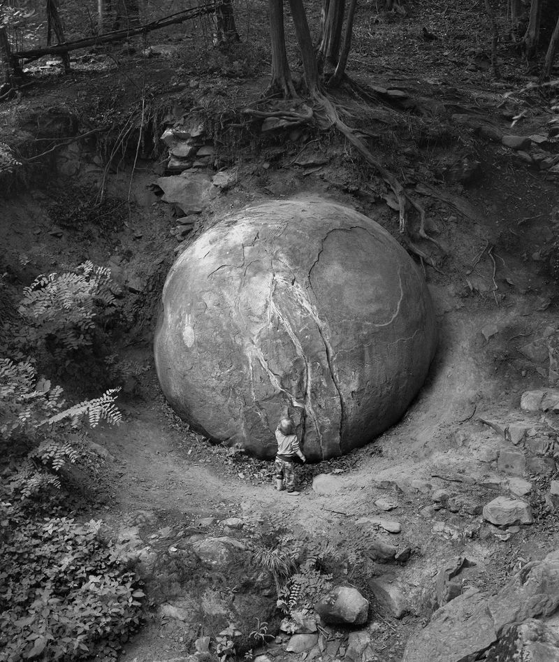 © Balazs Turos - Image from the The Nature of Things photography project