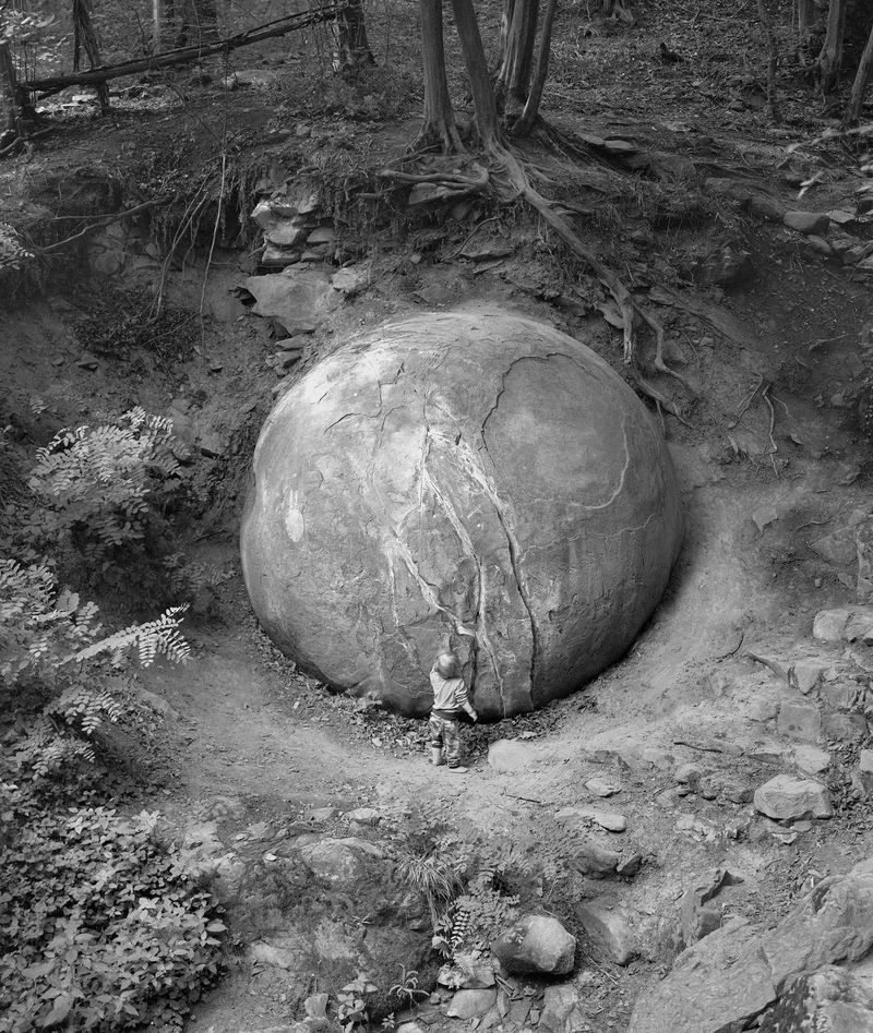 © Balazs Turos - Image from the The Nature of Things photography project