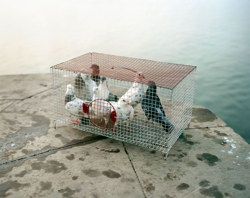 © Balazs Turos - Image from the The Nature of Things photography project