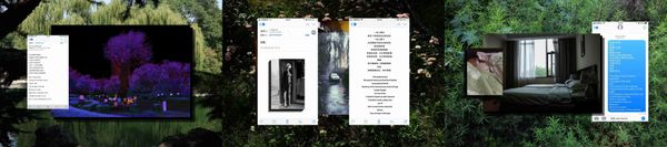 © Gao Shang - Chapter 3 Letters from Divers