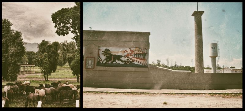 © Zion Rose - Image from the The Olympic Anthem photography project