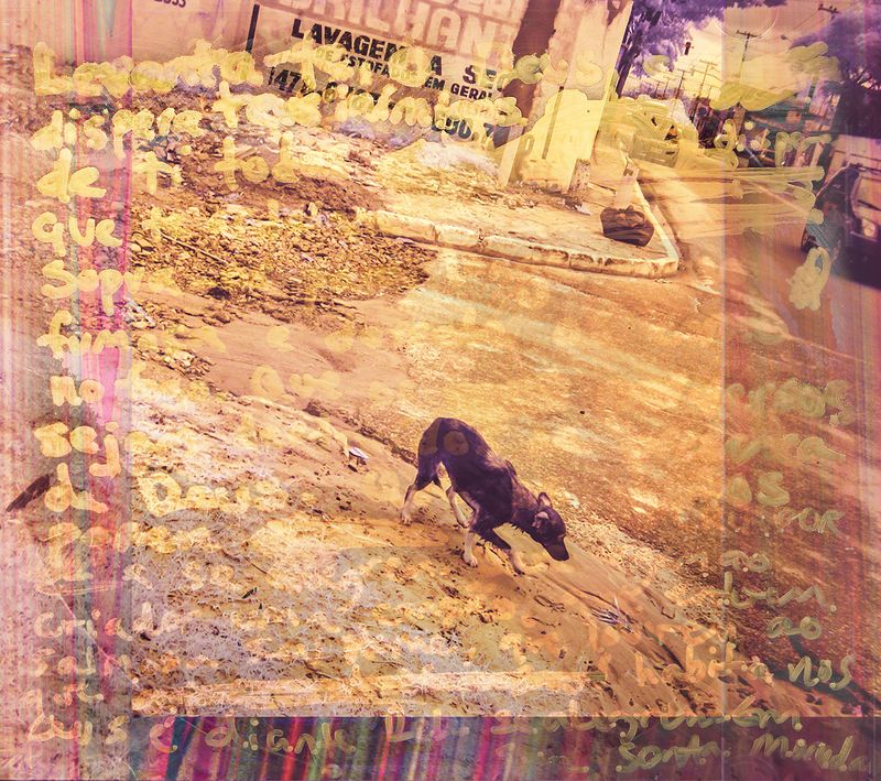 © Zion Rose - Image from the Maps photography project