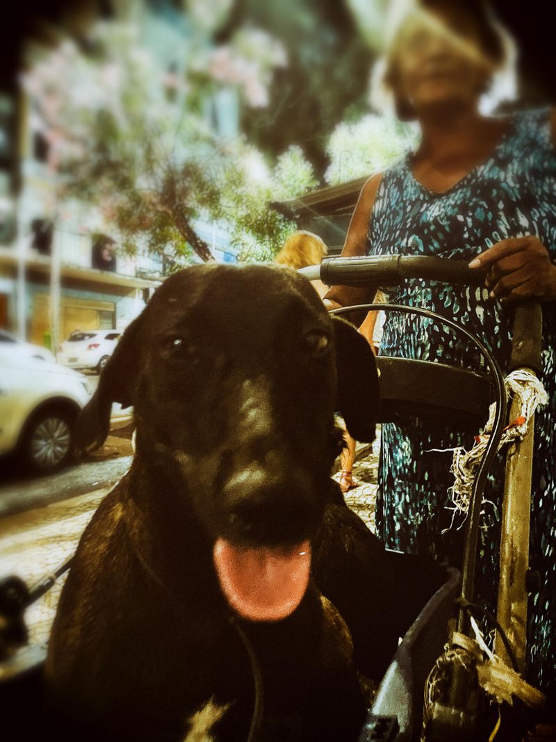 © Zion Rose - Image from the Night Life photography project