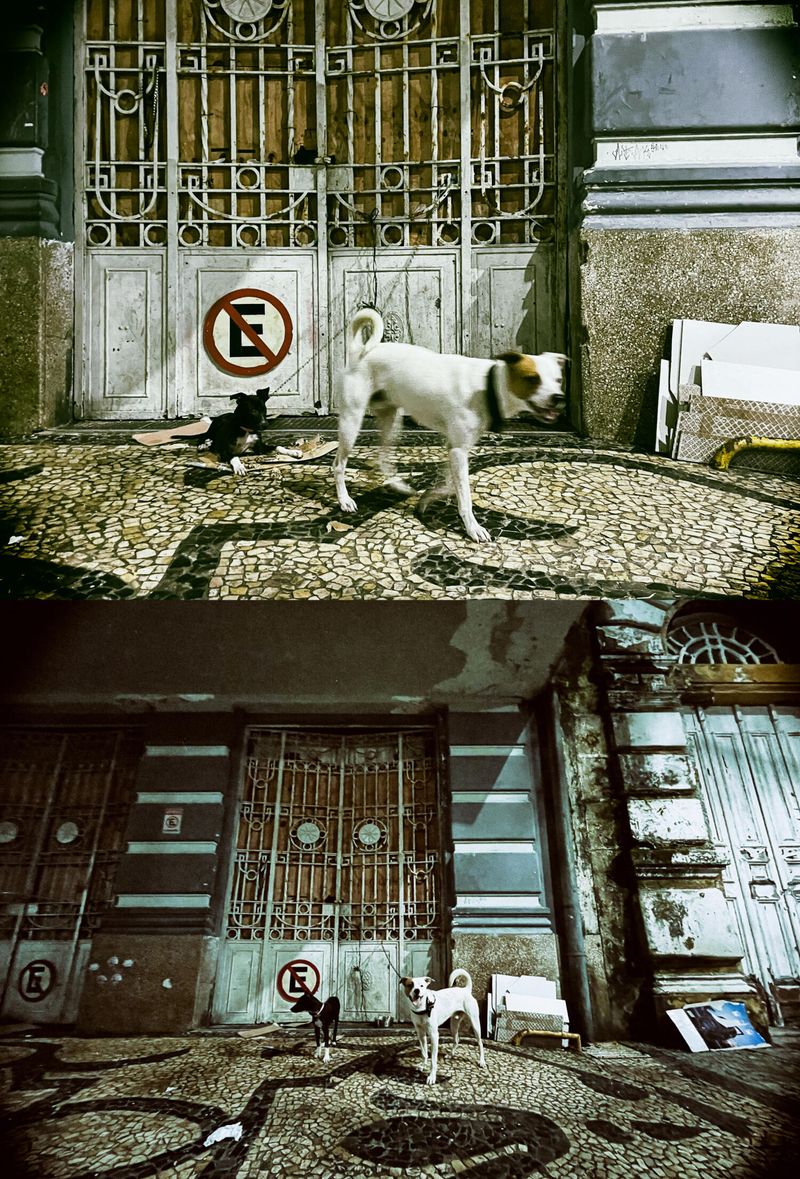 © Zion Rose - Image from the Night Life photography project