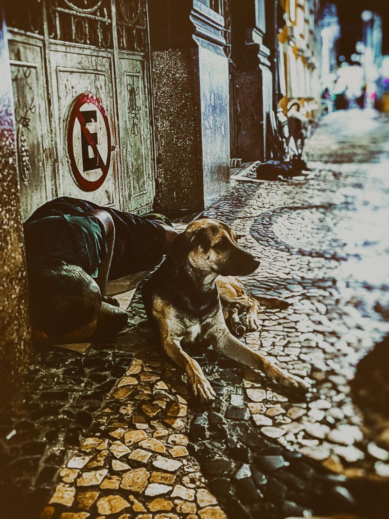 © Zion Rose - Image from the Night Life photography project