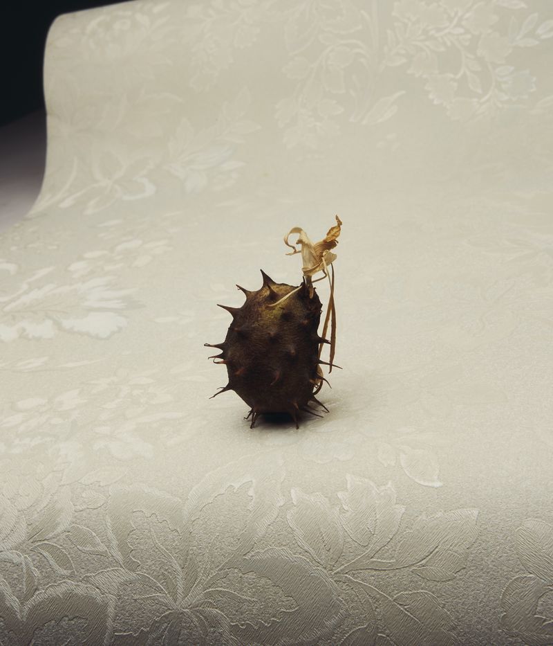 © Elisa Azevedo - Image from the Made for Loving photography project