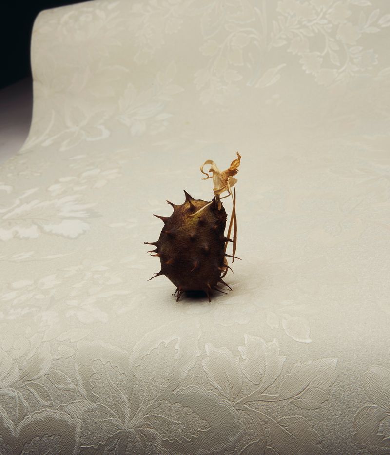 © Elisa Azevedo - Image from the Made for Loving photography project