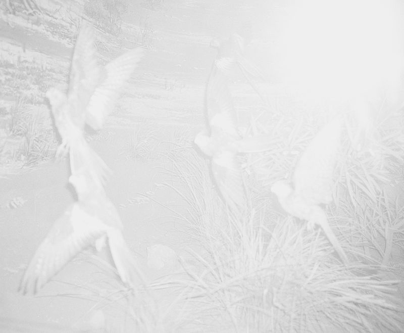 © Elisa Azevedo - Image from the Made for Loving photography project