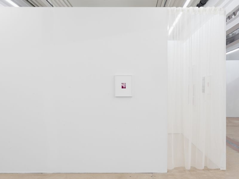 © Elisa Azevedo - Image from the Daydream photography project