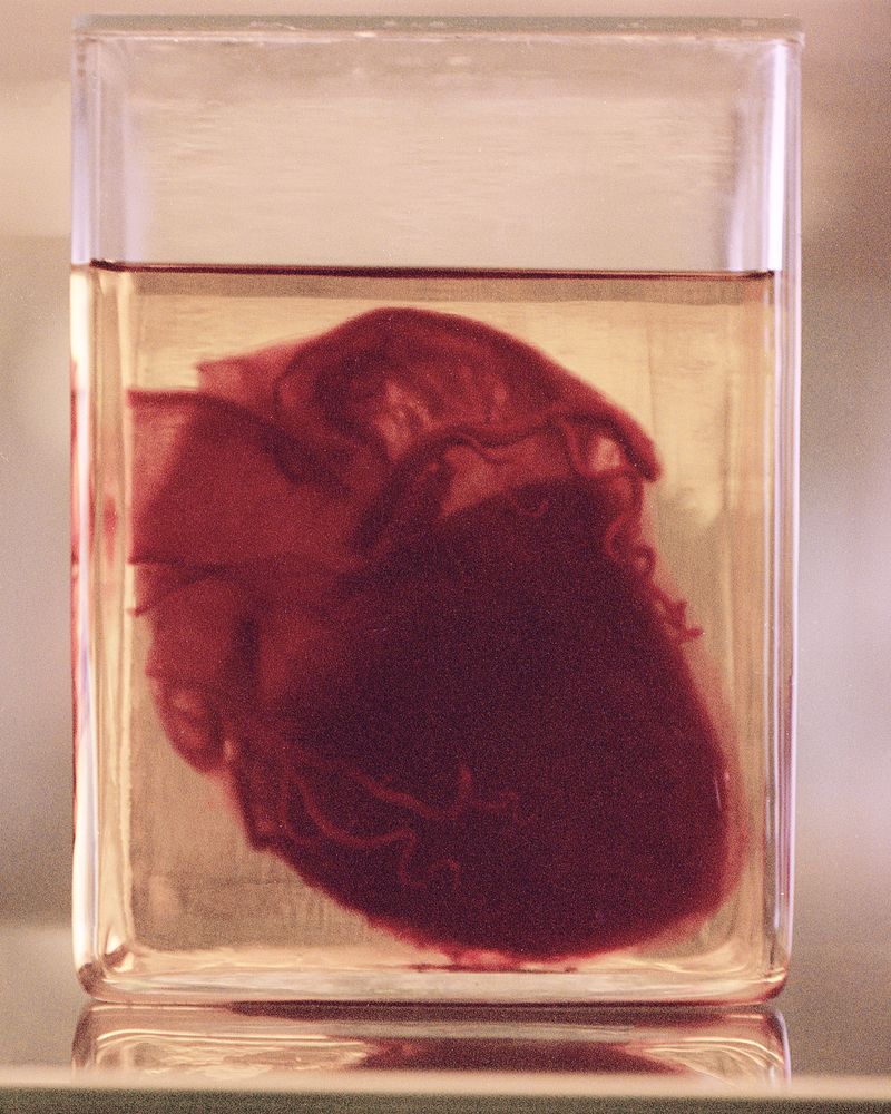 © Elisa Azevedo - Image from the Daydream photography project