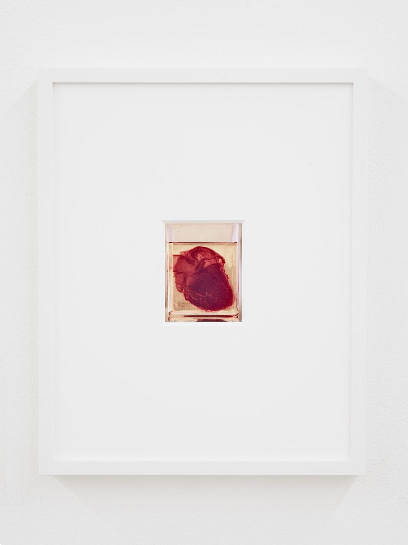 © Elisa Azevedo - Image from the Daydream photography project