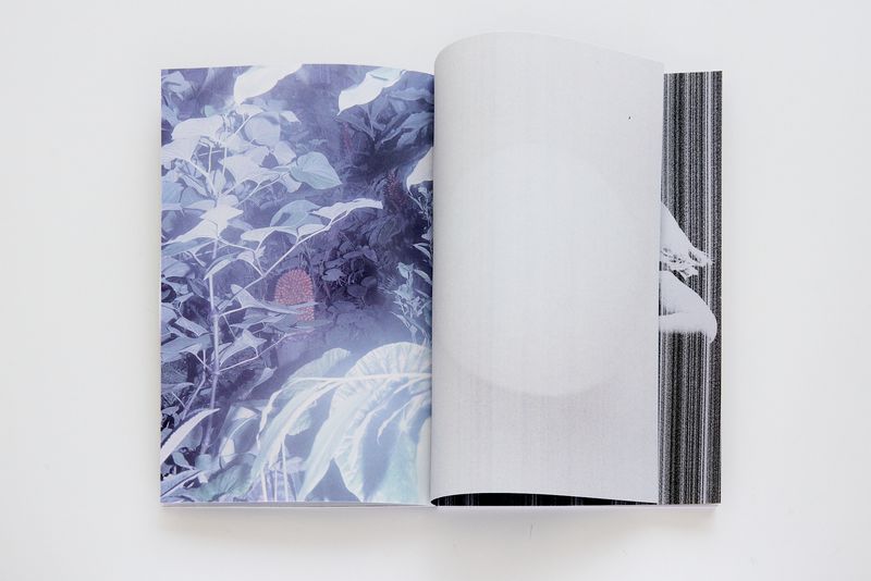 © Elisa Azevedo - Image from the I Used to Kiss a Lot photography project