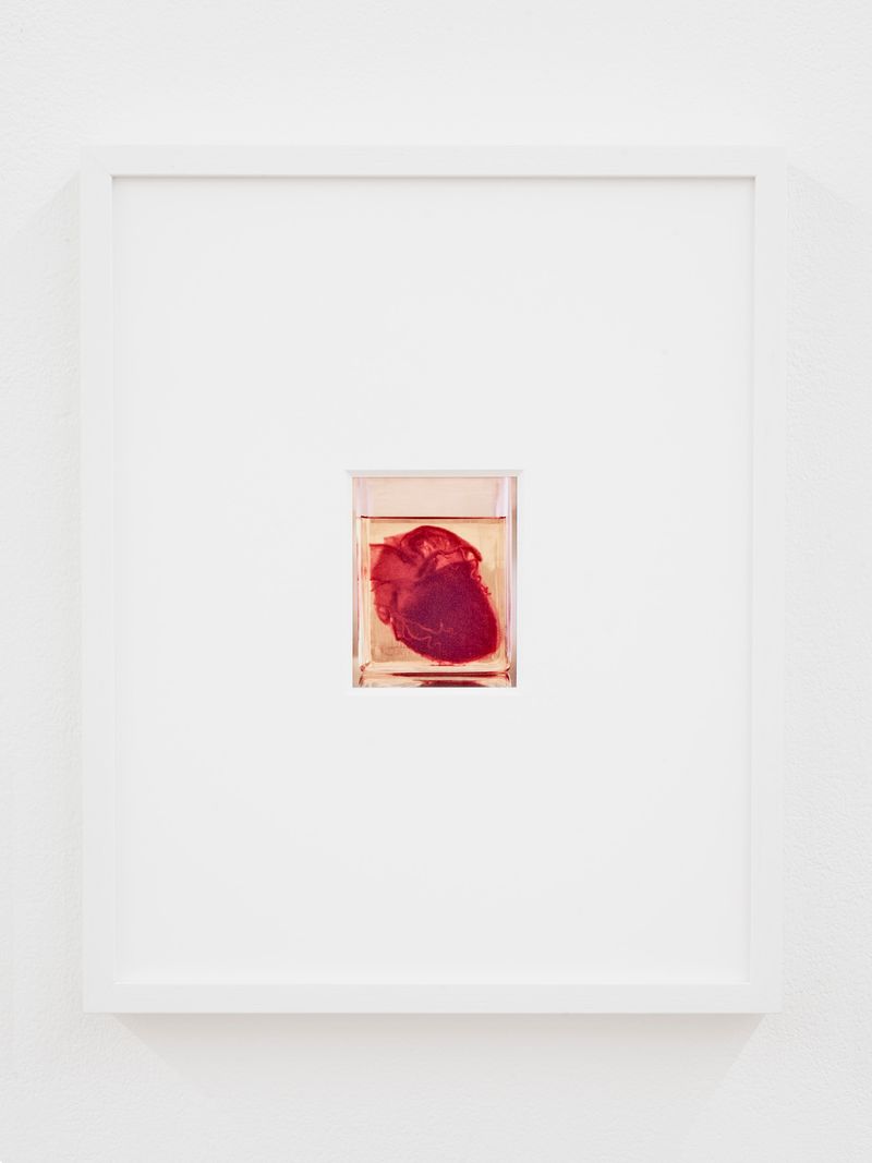 © Elisa Azevedo - Image from the Daydream photography project