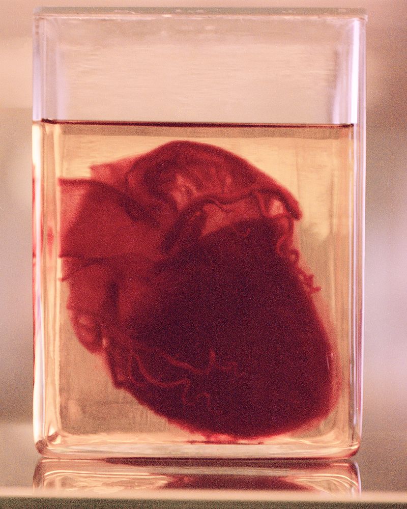 © Elisa Azevedo - Image from the Daydream photography project