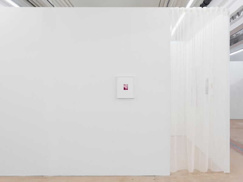 © Elisa Azevedo - Image from the Daydream photography project