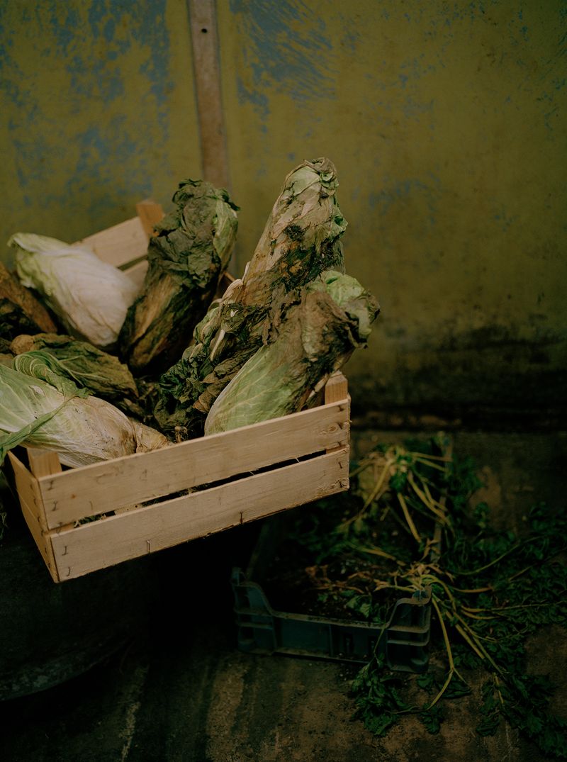 © Megan Auer - Image from the Back To The Roots/ Das Gelbe Vom Ei photography project