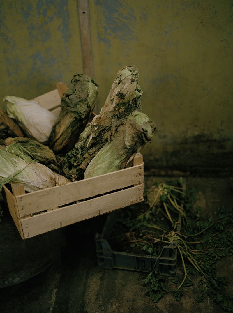 © Megan Auer - Image from the Back To The Roots/ Das Gelbe Vom Ei photography project
