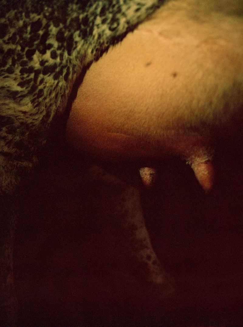 © Megan Auer - Image from the Back To The Roots/ Das Gelbe Vom Ei photography project