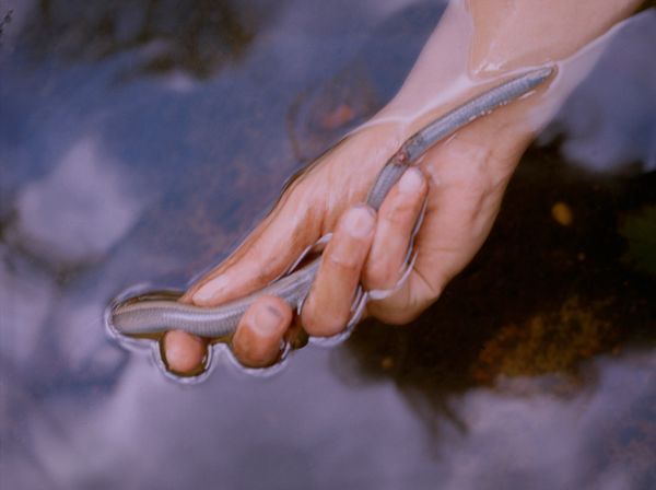 © Megan Auer - Image from the Back To The Roots/ Das Gelbe Vom Ei photography project