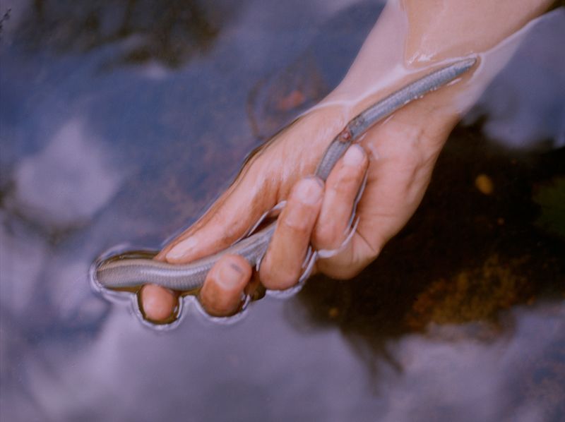 © Megan Auer - Image from the Back To The Roots/ Das Gelbe Vom Ei photography project