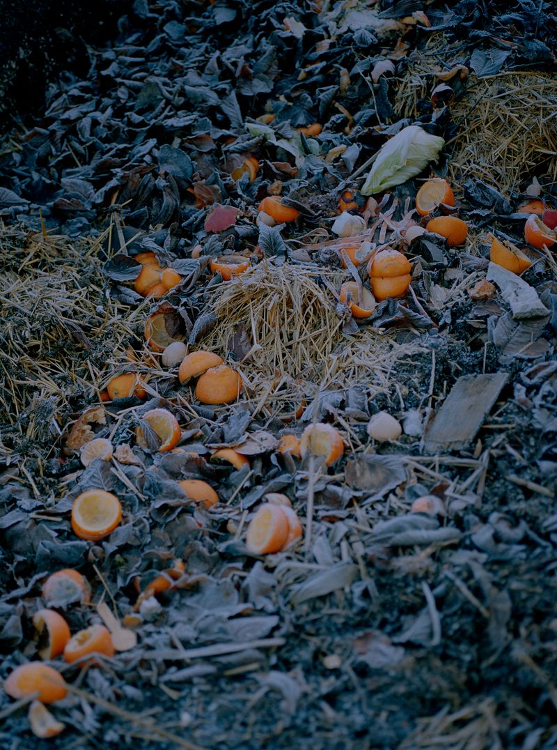 © Megan Auer - Image from the Back To The Roots/ Das Gelbe Vom Ei photography project