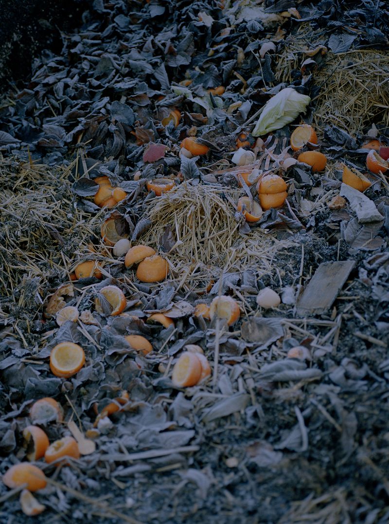 © Megan Auer - Image from the Back To The Roots/ Das Gelbe Vom Ei photography project