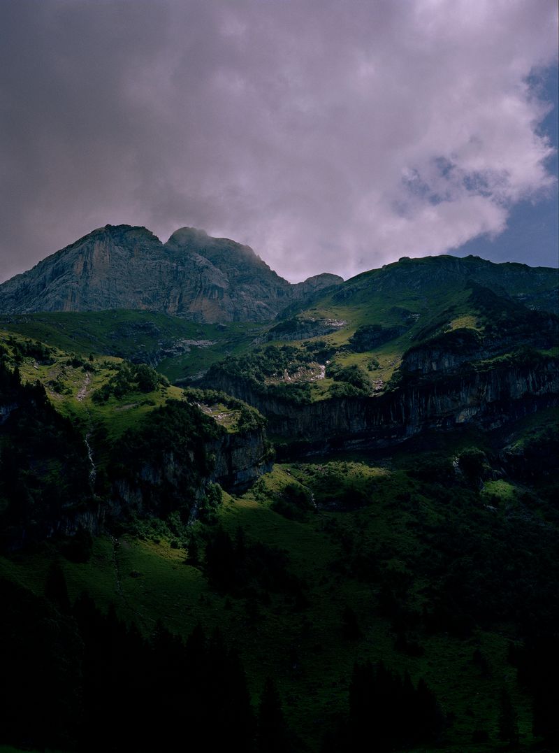 © Megan Auer - Image from the Back To The Roots/ Das Gelbe Vom Ei photography project