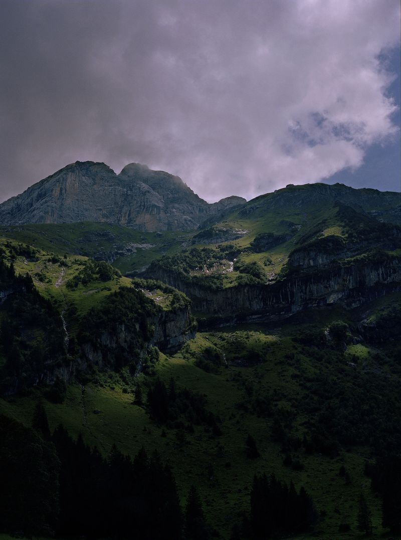 © Megan Auer - Image from the Back To The Roots/ Das Gelbe Vom Ei photography project