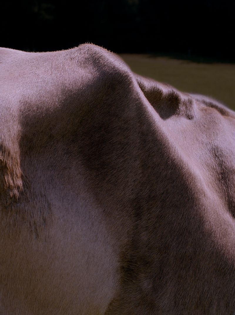 © Megan Auer - Image from the Back To The Roots/ Das Gelbe Vom Ei photography project