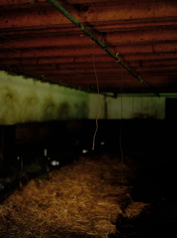 © Megan Auer - Image from the Back To The Roots/ Das Gelbe Vom Ei photography project