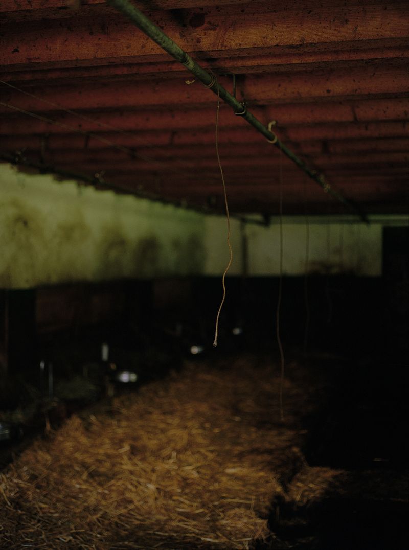 © Megan Auer - Image from the Back To The Roots/ Das Gelbe Vom Ei photography project