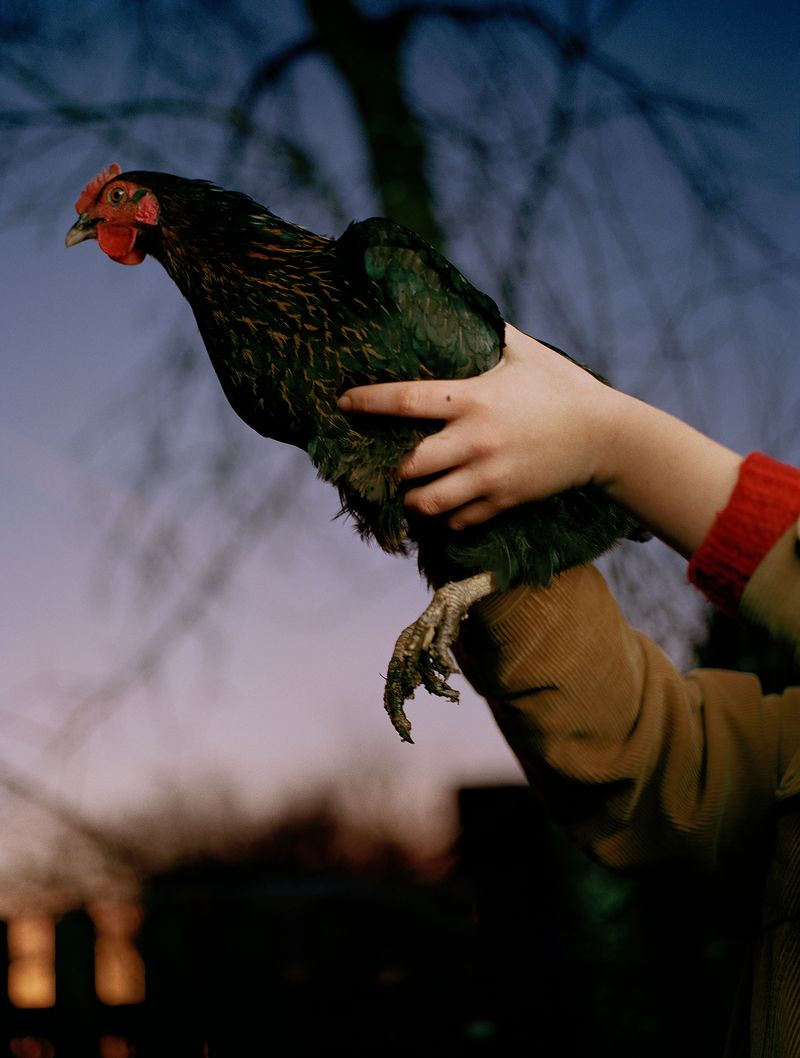 © Megan Auer - Image from the Back To The Roots/ Das Gelbe Vom Ei photography project