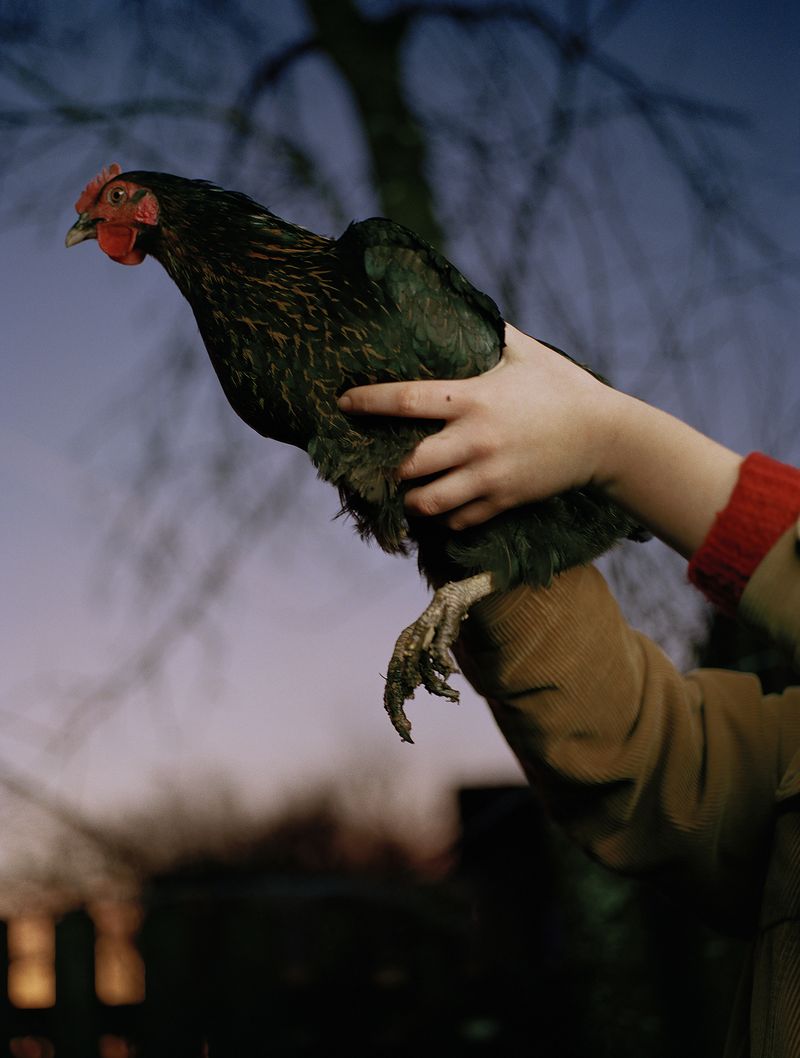 © Megan Auer - Image from the Back To The Roots/ Das Gelbe Vom Ei photography project