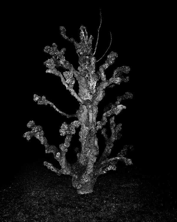 © Josef Kovac - Image from the Searching for Sergei photography project