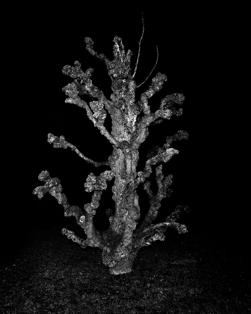 © Josef Kovac - Image from the Searching for Sergei photography project