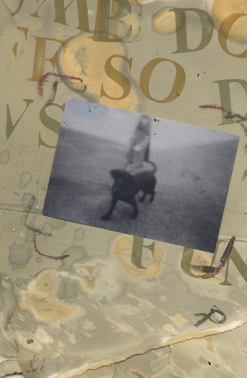 © paularaegibson - Image from the nearest dearest photography project