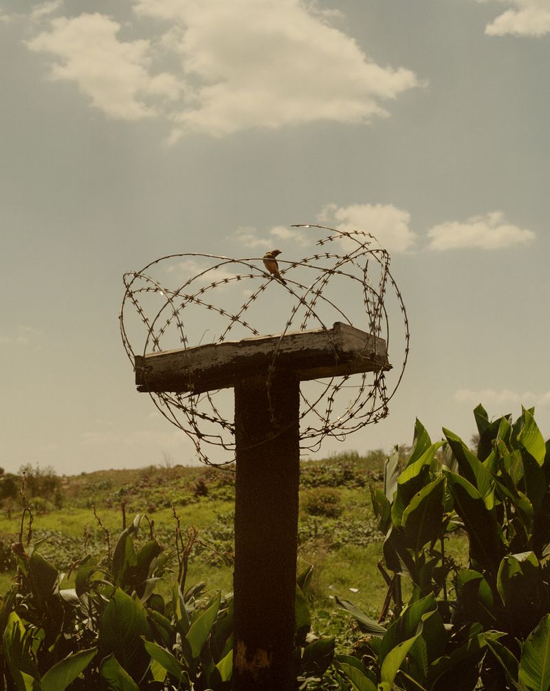 © Elis Hoffman - Image from the Shadows photography project