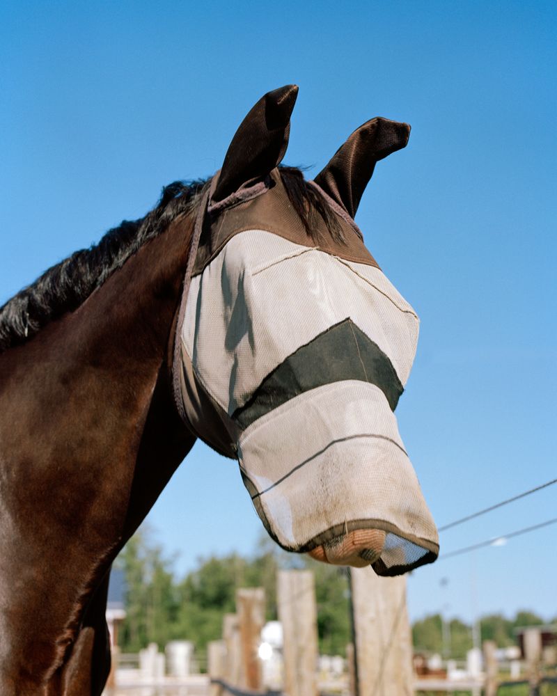 © Kati Leinonen - Image from the Äimärautio photography project