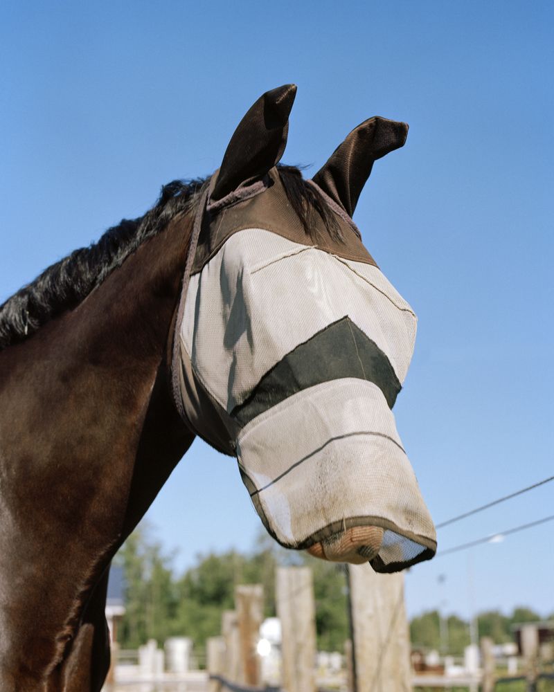 © Kati Leinonen - Image from the Äimärautio photography project