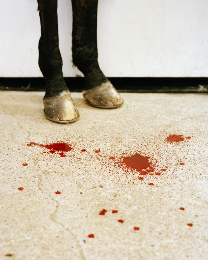 © Kati Leinonen - Image from the Äimärautio photography project