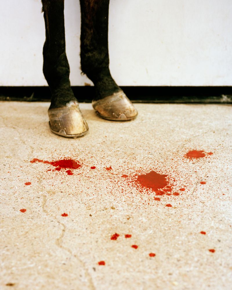 © Kati Leinonen - Image from the Äimärautio photography project