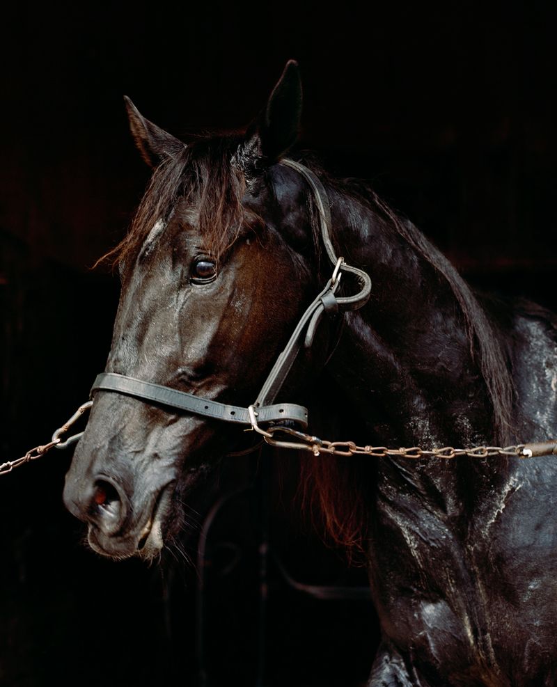 © Kati Leinonen - Image from the Äimärautio photography project