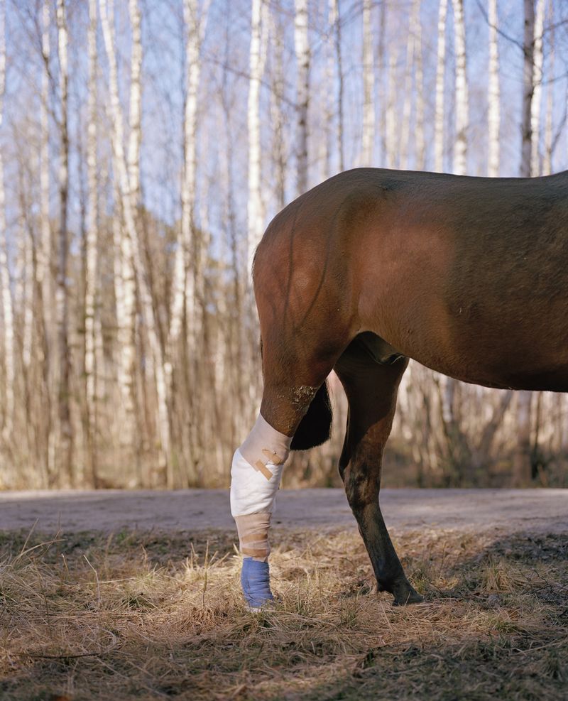 © Kati Leinonen - Image from the Äimärautio photography project