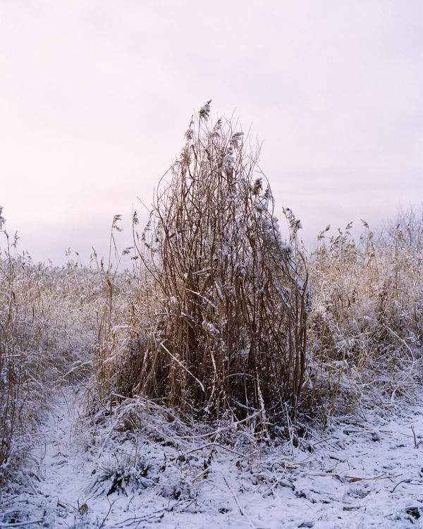 © Kati Leinonen - Image from the Äimärautio photography project