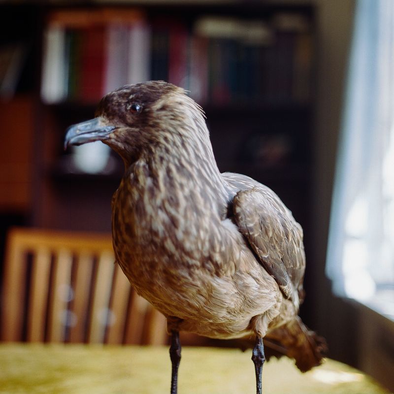 © Silvia Varela - Image from the Finisterre photography project