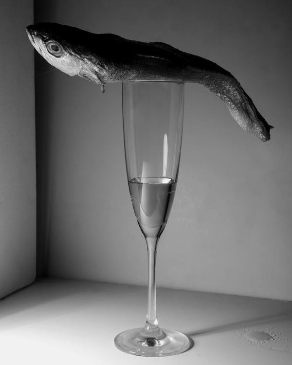 © Gabriel Gomez - Image from the Diary photography project