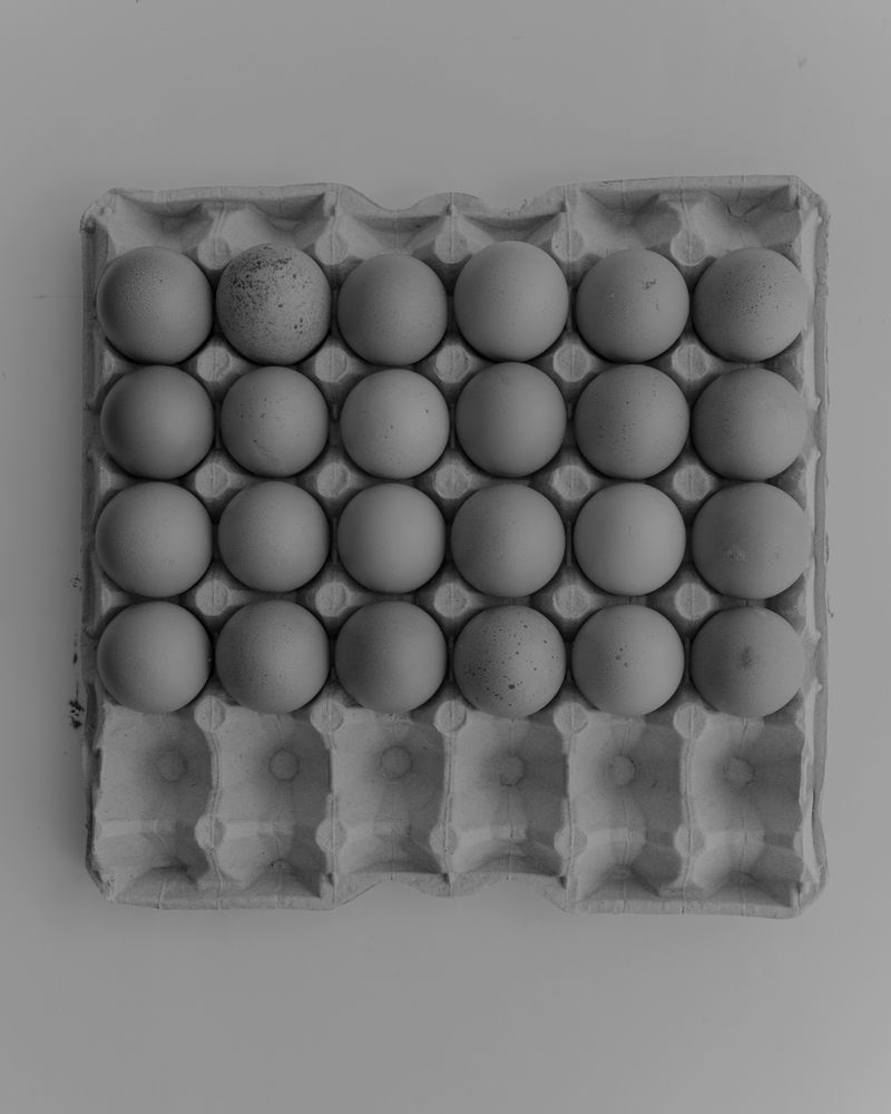 © Gabriel Gomez - Image from the Diary photography project