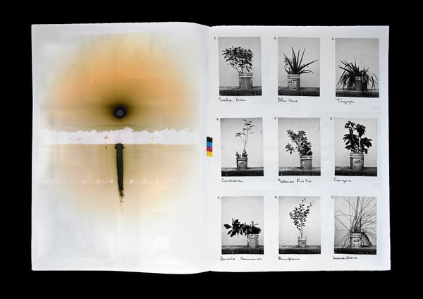 © Olivia Wunsche - Image from the The Falling Sky photography project