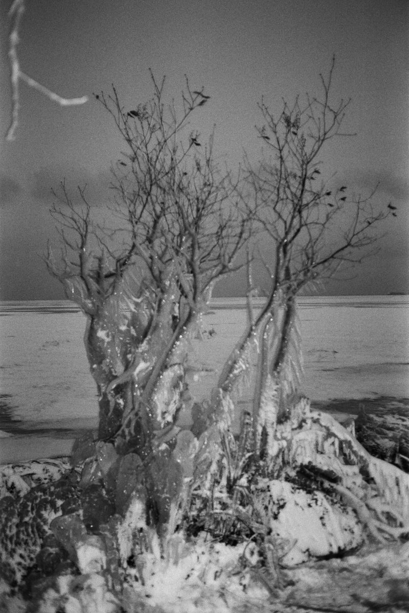 © Ivan Kardashev - Anna Zelikova, 2016